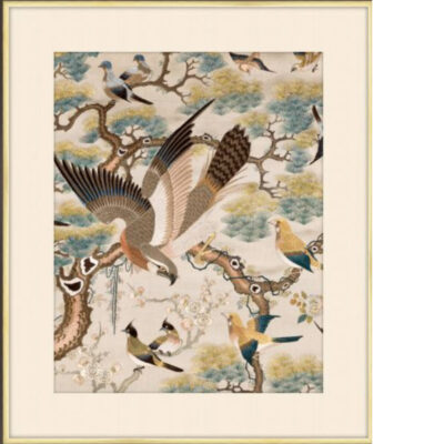 Hawks & Doves