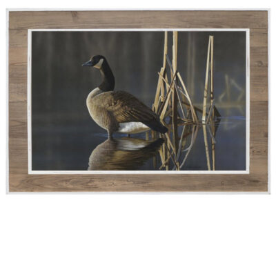 Goose Artwork | Gift Ideas | Fenton Home Furnishings