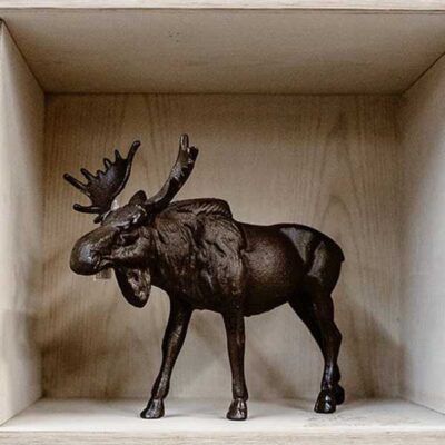Moose
