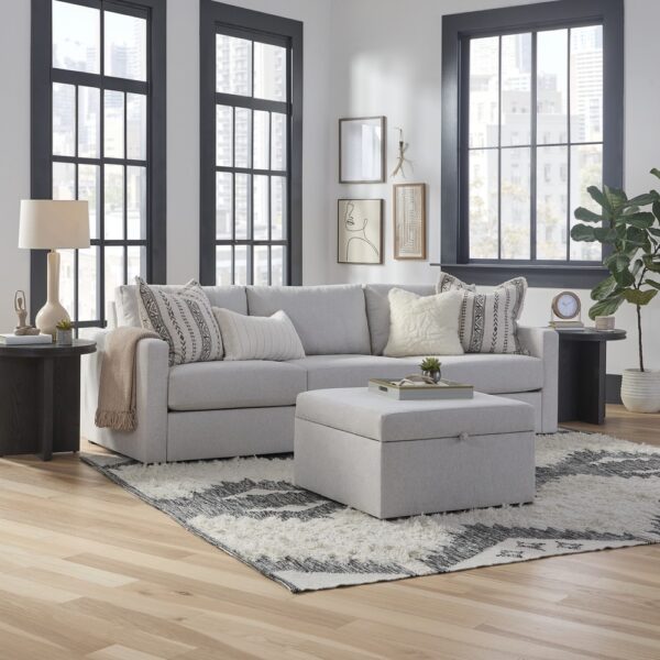 Flex Sofa with Standard Arm and Storage Ottoman - Image 7